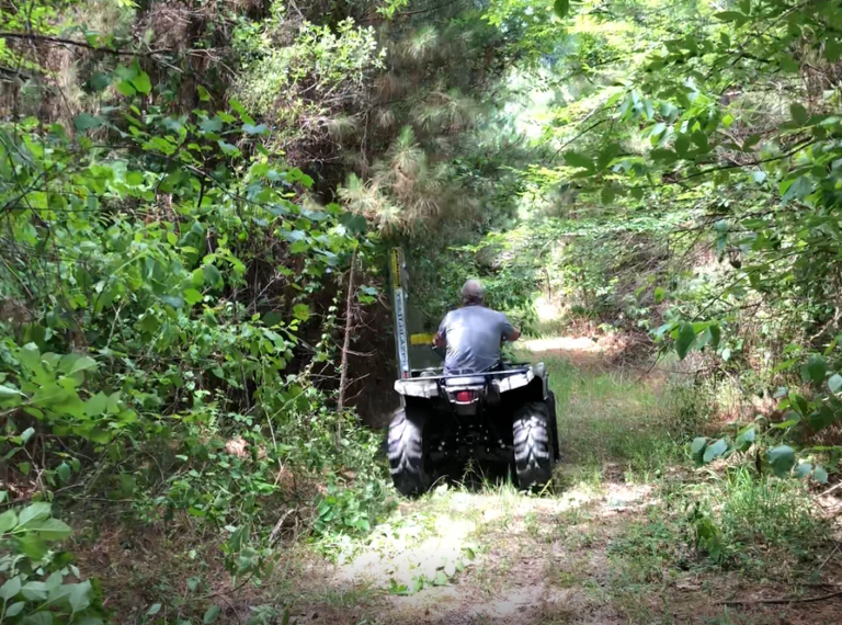 STOUT DESIGNS, LLC TRAILBLAZER TB2022 OVERHANGING LIMB AND BRUSH